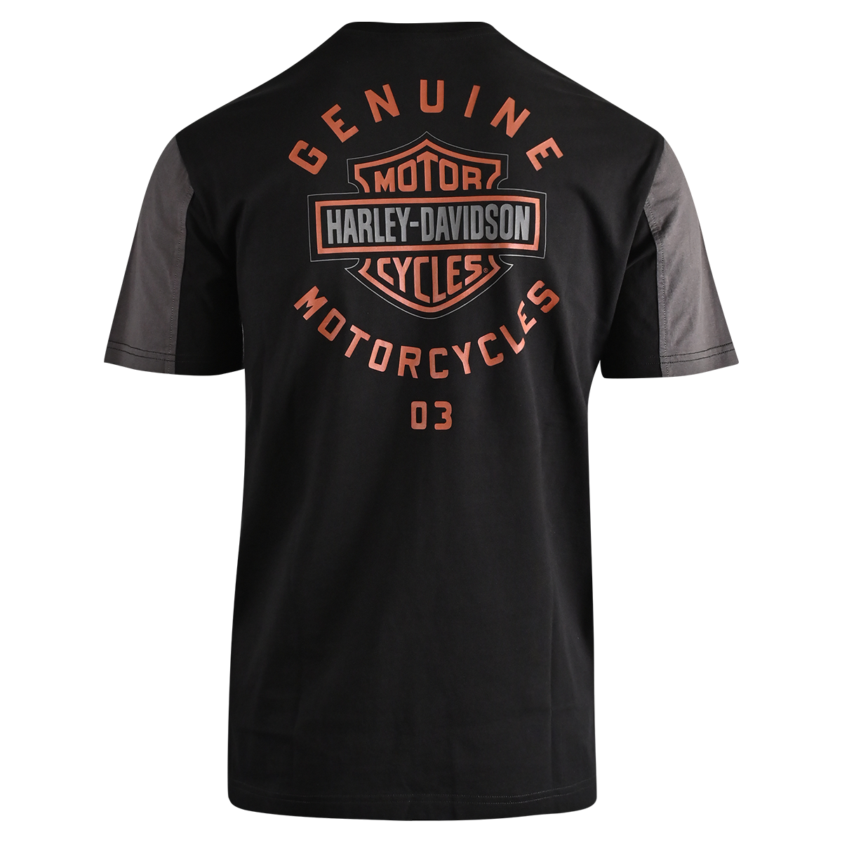 HARLEY DAVIDSON PRINTED T-SHIRT